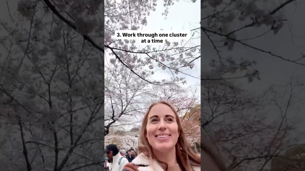 If I were starting a travel blog in 2025…  #bloggingtips #startablog #makemoneytraveling