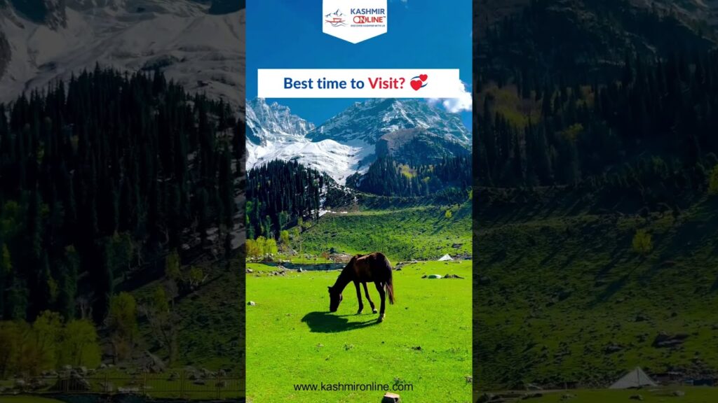 Best Time to visit in kashmir ❤️ #kashmir #travel #kashmirtour #kashmirtourpackage