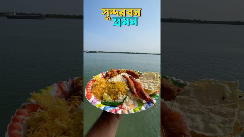 Sundarban Tour plan #minivlog #travel #sundarban